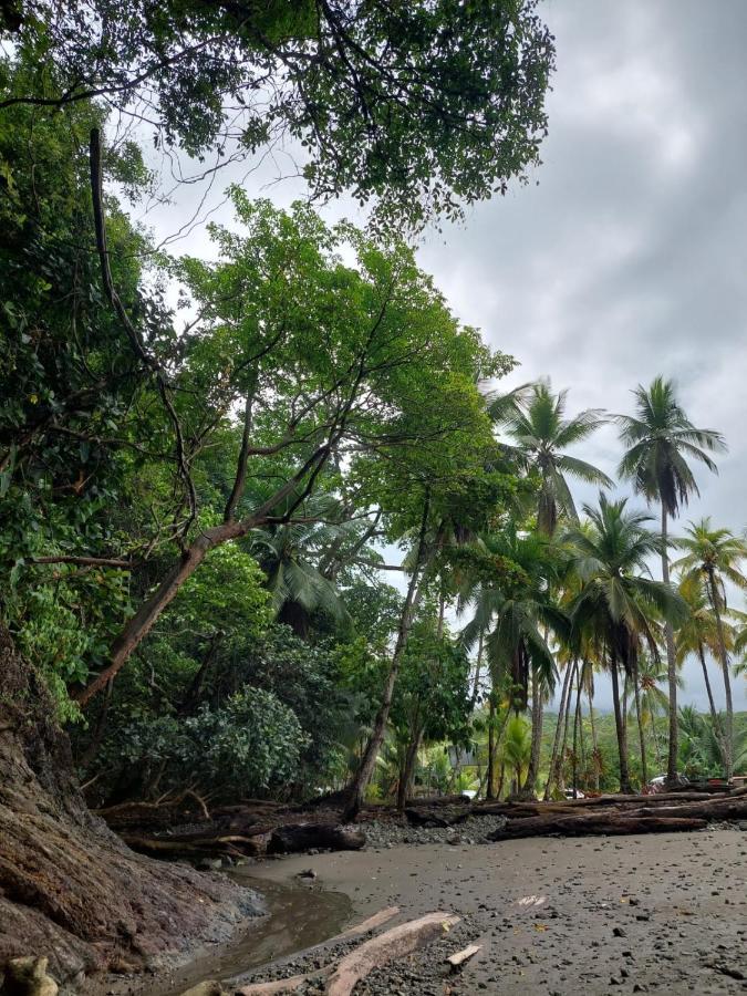 Casa Bahia Ale, Bahia Ballena Uvita Zewnętrze zdjęcie