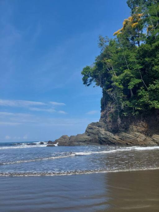 Casa Bahia Ale, Bahia Ballena Uvita Zewnętrze zdjęcie