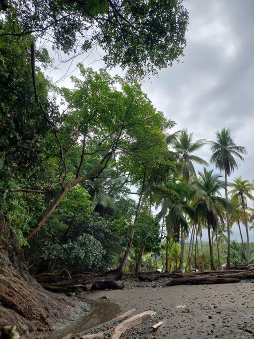 Casa Bahia Ale, Bahia Ballena Uvita Zewnętrze zdjęcie